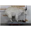 Image 2 : Life-sized MOUNTAIN GOAT on Decorative Base with a Wall Hanger