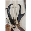 Image 10 : XXXL PRONGHORN Shoulder Mount with Reproduction Horns after "The Meyer Buck"