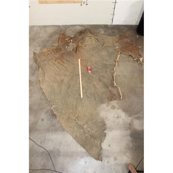 XL Piece of Soft and Tanned African ELEPHANT Hide