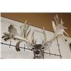 Image 3 : Huge "Freak" Non-Typical 40-Point WHITETAIL DEER Wall Pedestal with Palms! *Real Antlers*