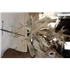 Image 14 : XXL "Freak" Non-Typical WHITETAIL DEER Shoulder Mount *Real Antlers*