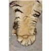Image 11 : *TEXAS RESIDENTS ONLY* Mid 20th Century or Older TIGER Rug with its Mounted Head and Skull
