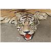 Image 2 : *TEXAS RESIDENTS ONLY* Mid 20th Century or Older TIGER Rug with its Mounted Head and Skull