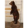 Image 10 : Life-sized Standing BROWN BEAR on a simulated Rock Base with Wheels