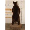 Image 12 : Life-sized Standing BROWN BEAR on a simulated Rock Base with Wheels