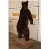 Image 14 : Life-sized Standing BROWN BEAR on a simulated Rock Base with Wheels