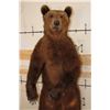 Image 4 : Life-sized Standing BROWN BEAR on a simulated Rock Base with Wheels
