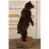 Image 9 : Life-sized Standing BROWN BEAR on a simulated Rock Base with Wheels