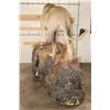Image 18 : *TEXAS RESIDENTS ONLY* Life-sized AFRICAN LION standing over his HYENA Kill on a Rock Base with