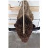 Image 10 : XL BUFFALO/BISON Shoulder Mount