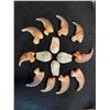 Image 1 : (10) BLACK BEAR Front Claws Plus (4) ELK IVORIES in a Glass Display Case (ONE$)