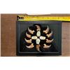Image 3 : (10) BLACK BEAR Front Claws Plus (4) ELK IVORIES in a Glass Display Case (ONE$)