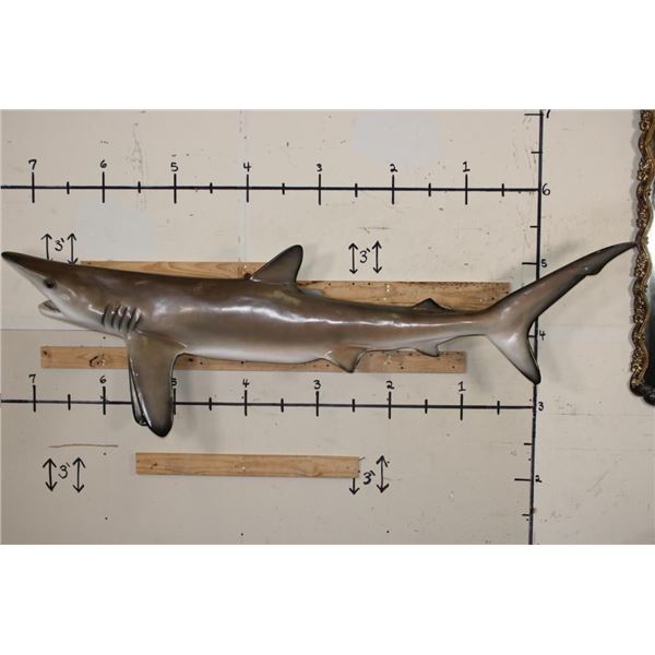 XL Reproduction BLACKTIP SHARK with Real Jaws and Teeth!