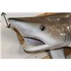 Image 4 : XL Reproduction BLACKTIP SHARK with Real Jaws and Teeth!