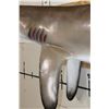 Image 9 : XL Reproduction BLACKTIP SHARK with Real Jaws and Teeth!