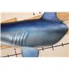 Image 13 : Big Reproduction Half Body LONGFIN MAKO SHARK with Real Jaws and Teeth