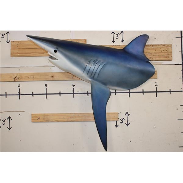 Big Reproduction Half Body LONGFIN MAKO SHARK with Real Jaws and Teeth