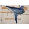 Image 1 : Big Reproduction Half Body LONGFIN MAKO SHARK with Real Jaws and Teeth