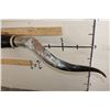 Image 5 : XXL Polished and Mounted LONGHORNS