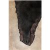 Image 11 : Double Felted BLACK BEAR Rug with its Mounted Head and All its Claws