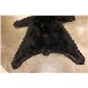 Image 12 : Double Felted BLACK BEAR Rug with its Mounted Head and All its Claws