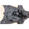 Image 13 : Double Felted BLACK BEAR Rug with its Mounted Head and All its Claws