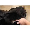 Image 5 : Double Felted BLACK BEAR Rug with its Mounted Head and All its Claws