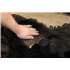 Image 6 : Double Felted BLACK BEAR Rug with its Mounted Head and All its Claws