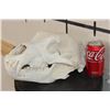 Image 11 : RUSSIAN BROWN BEAR Skull with All its Teeth