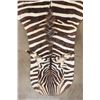 Image 3 : Soft and Pliable ZEBRA Hide