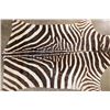 Image 4 : Soft and Pliable ZEBRA Hide