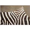 Image 5 : Soft and Pliable ZEBRA Hide