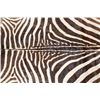 Image 7 : Soft and Pliable ZEBRA Hide