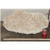 Image 2 : XXL 38 lb ECHINOID SEA URCHIN Fossil Plate Matrix with a Stand