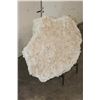 Image 9 : XXL 38 lb ECHINOID SEA URCHIN Fossil Plate Matrix with a Stand