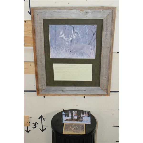Photo Print of the famous "Kansas City Deer" Whitetail in a Wood Frame with Detailed Story Plaque