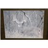 Image 3 : Photo Print of the famous "Kansas City Deer" Whitetail in a Wood Frame with Detailed Story Plaque