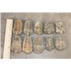 Image 2 : (10) TRILOBITE Fossil Specimens from Morocco (ONE$)