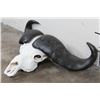 Image 2 : CAPE BUFFALO Skull