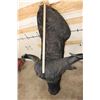 Image 8 : CAPE BUFFALO Shoulder Mount