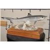 Image 1 : *Real Skin* BABY SHARK on a Wooden Base with *Real Coral*