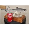 Image 2 : *Real Skin* BABY SHARK on a Wooden Base with *Real Coral*