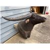 Image 2 : AUSTRALIAN WATER BUFFALO Shoulder Mount