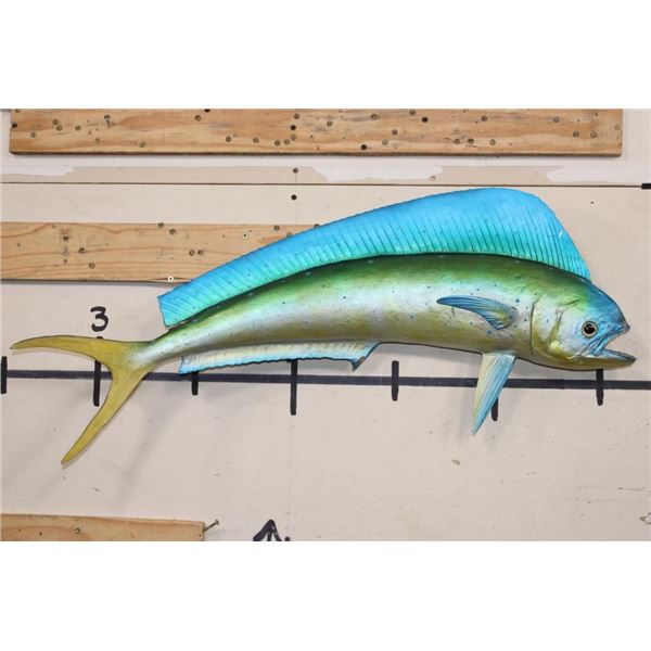 Real Skin MAHI-MAHI Fish Mount