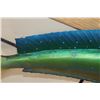 Image 7 : Real Skin MAHI-MAHI Fish Mount