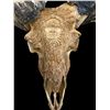 Image 3 : Beautiful Hand-carved Indonesian GARUT SHEEP/RAM Skull