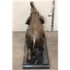 Image 8 : ELEPHANT BRONZE Sculpture on a MARBLE Base, Weight 16 lbs