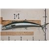 Image 1 : *Real Skin* KING MACKEREL Fish Mount