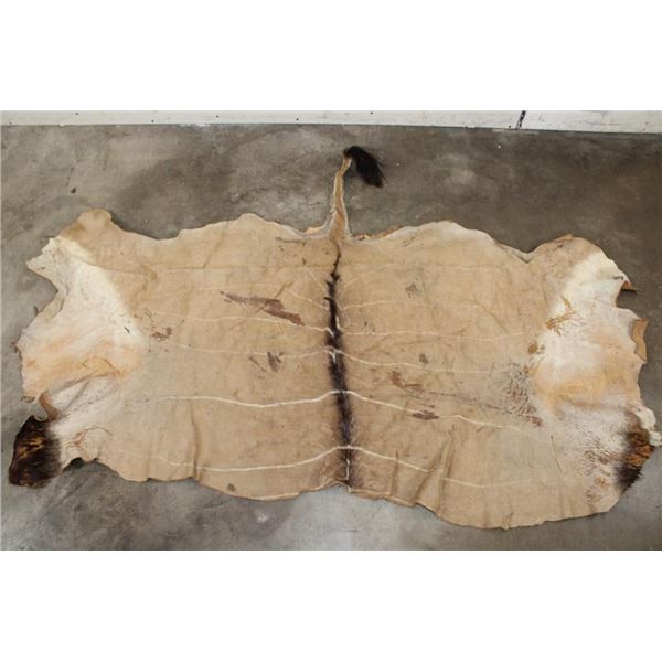 LORD DERBY ELAND Back Hide