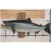 Image 1 : Big *Real Skin* KING SALMON or "Chinook Salmon" on a Wood Wall Hanger